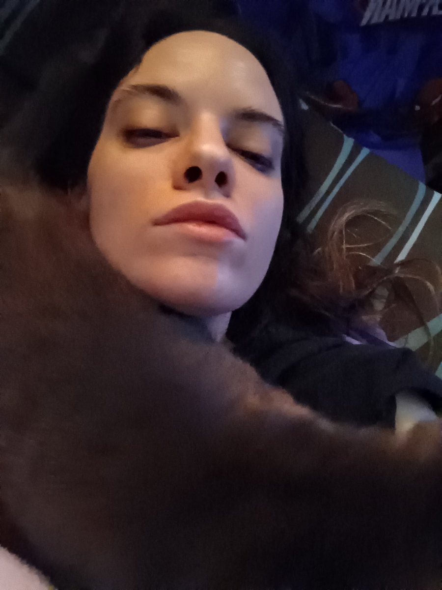 MorbidHumor101's tweet photo. Played with cosplay wigs again + morning after with my roommate's cat, Pepper as my alarm clock #TeenTitans #RavenRoth #Costest https://t.co/J99cFZ3ubx