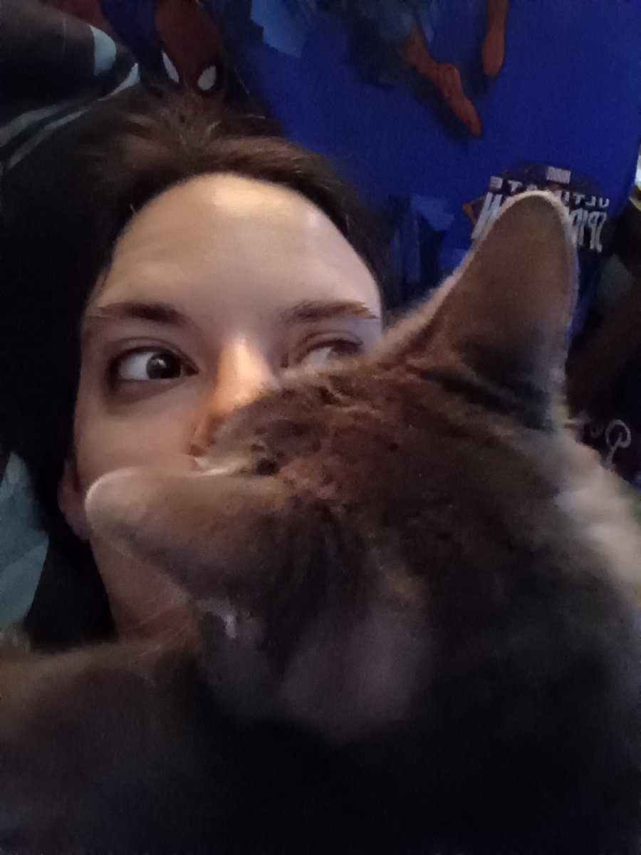 MorbidHumor101's tweet photo. Played with cosplay wigs again + morning after with my roommate's cat, Pepper as my alarm clock #TeenTitans #RavenRoth #Costest https://t.co/J99cFZ3ubx