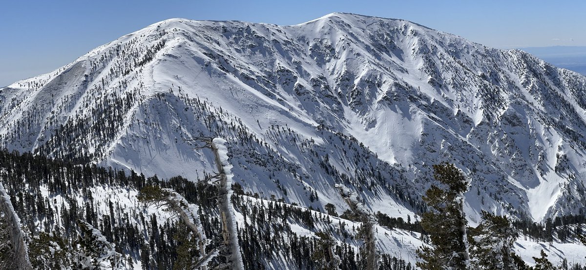 Views from Pine Mountain today were beautiful and then I noticed several crowns and huge slides 😥