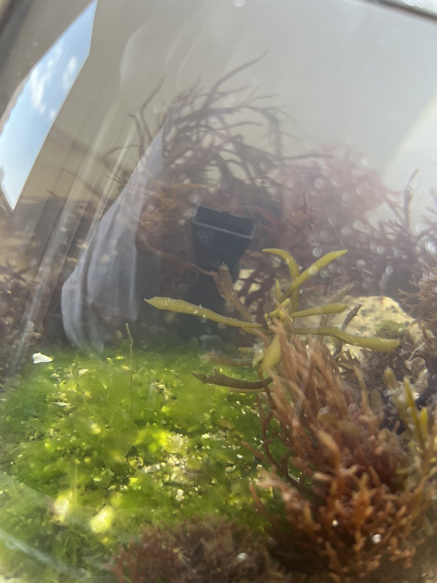 豊津商店【YouTube】 tweet media