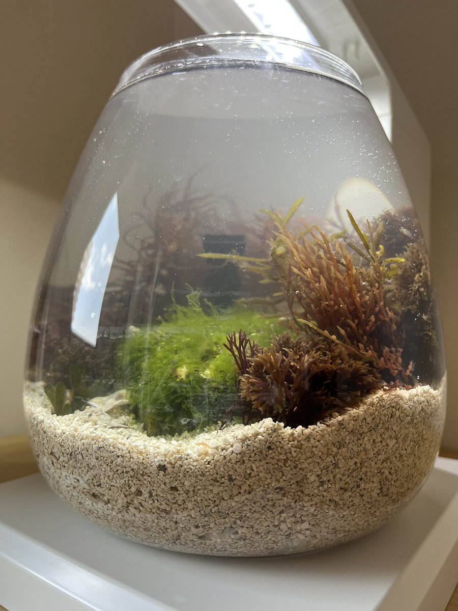 豊津商店【YouTube】 tweet media