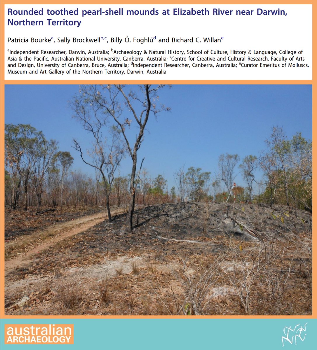 Amazing recent work by Bourke et al. documenting shell mounds constructed from rounded toothed pearl-shells (not cockles!) on Larrakia Country, NT.⬇️ tandfonline.com/doi/full/10.10…