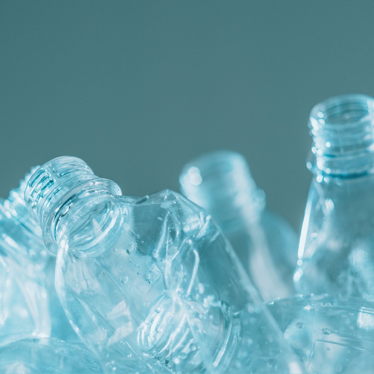 Only 28% of Polyethylene terephthalate (PET) plastic, the most plastic used for beverage containers is recycled in Washington. Read our blog for more on the importance of PET plastic collection in Washington: bit.ly/PETplastics101