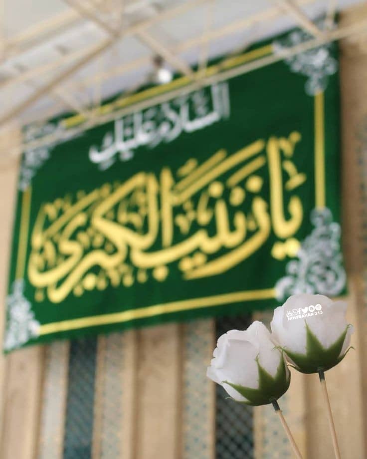 یکم شعبان المعظم ظہورِ پُر نور ملکۂ عالیہ شہزادی زینب بنتِ علی ع مبارک ہو ❤️