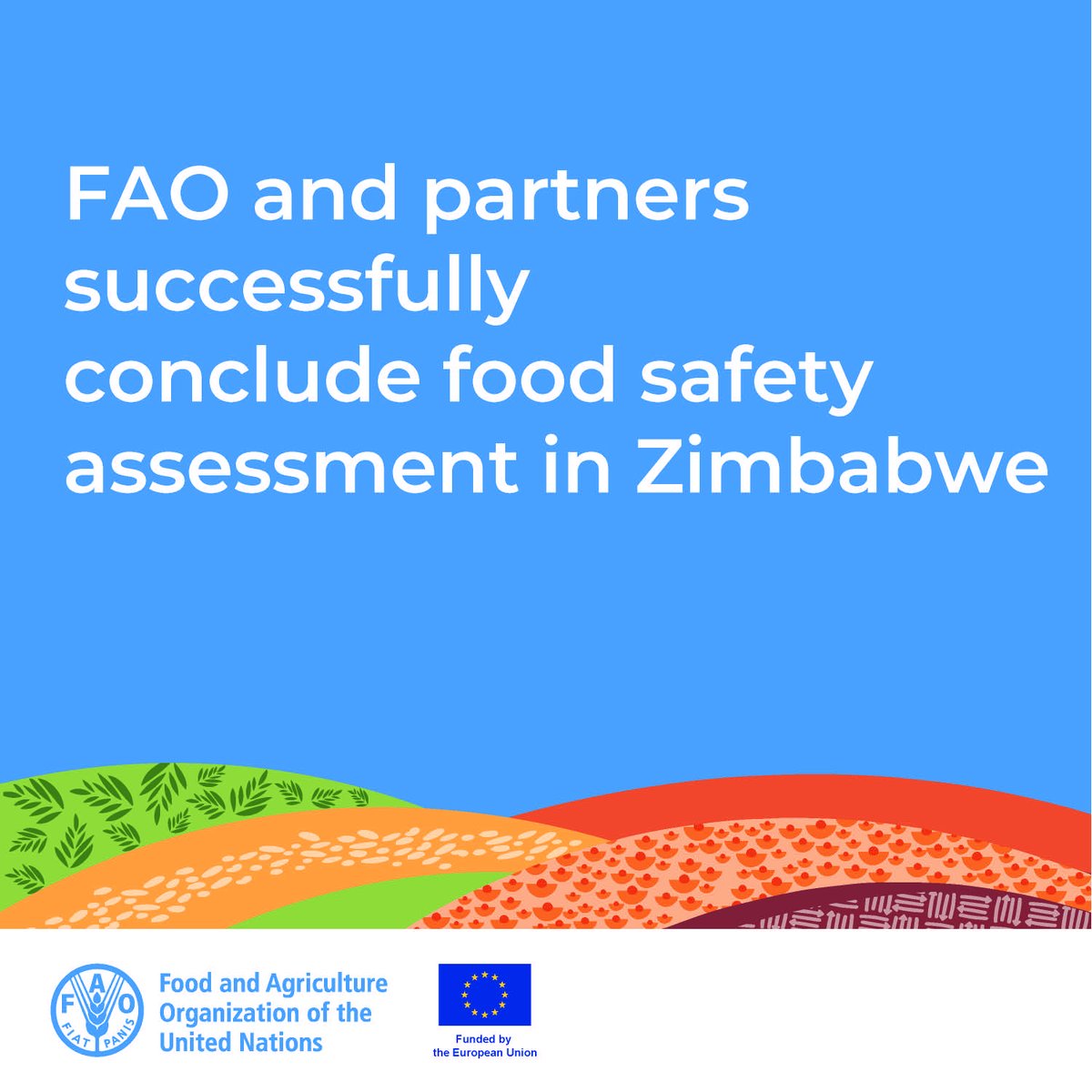 faosfsafrica's tweet photo. #FAOinAction

FAO in Zimbabwe will conclude an eight-month assessment of Zimbabwe’s food control system with a final workshop in Kadoma from 12-16 Feb, 2024. Focal points &amp; stakeholders involved in the country’s food control system are in attendance.

👉https://t.co/zwFFpp9afN https://t.co/Et1rAa18PE