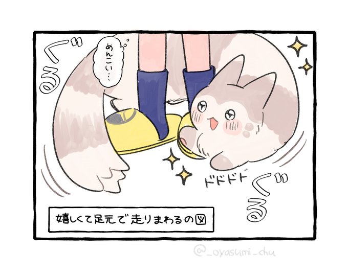 部屋に帰るといつも大喜びしてくれるオオタチ 