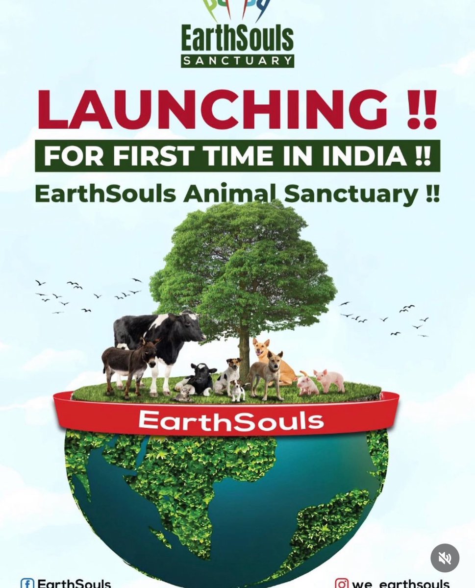 Jen Leon tweet media