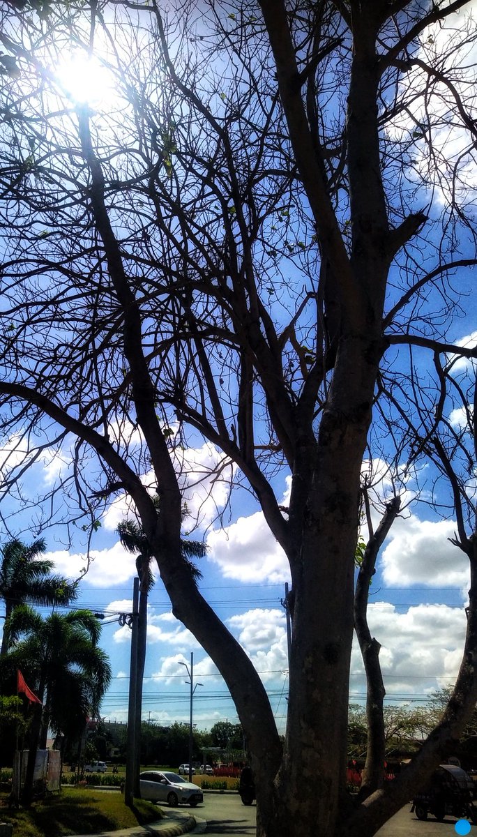 Tess Quadra🔨NO DM🔨 LXXIII tweet media