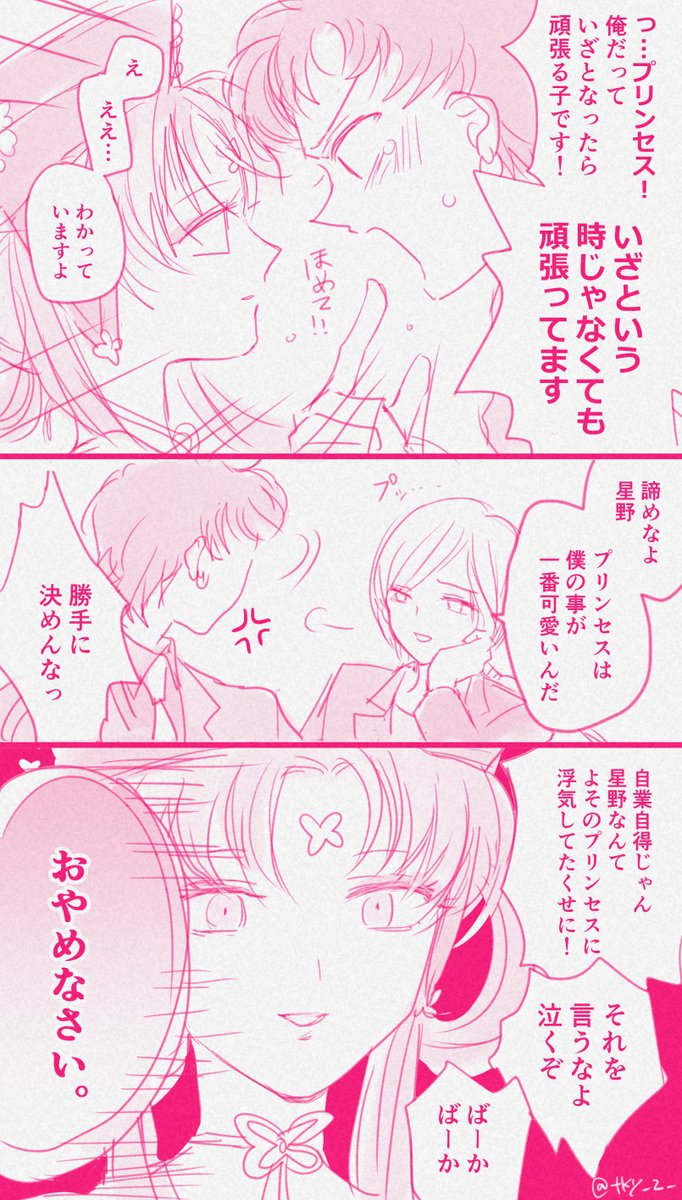 プリンセスだいちゅき夜天キュンと、星野。的なもの 
