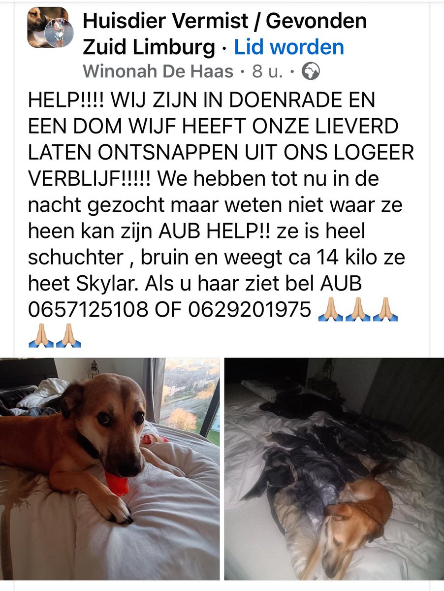 MFilter01's tweet photo. #doenrade zoek je mee! https://t.co/X38GkpPmJL