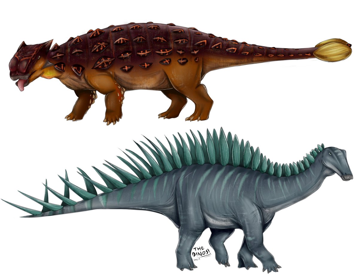 Ankylosaurus n Dacentrurus
#paleoart #dinosaur #art #sciart #ArtistsOfTwitter