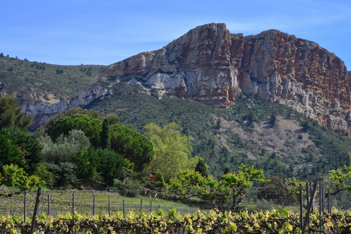 French vineyards make up 3% of the country's agricultural area but account for 20% of pesticide usage. At the 2nd Vignoble & Biodiversité conference we learned that biodiversity is not a ‘nice-to-have’ but essential for healthy vineyards. the-buyer.net/insight/vignob… @LizGabayMW