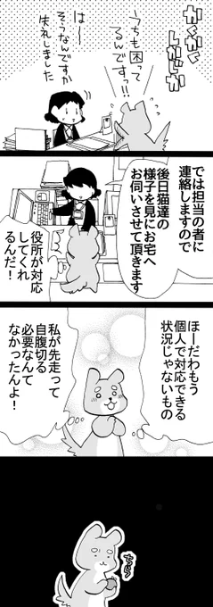 四コマ「祖父んちの隣人が多頭飼育崩壊した話49」

自腹…切る必要なかったんかなあ…
(ありました)

#猫 #御かぞくさま御いっこう #四コマ漫画 