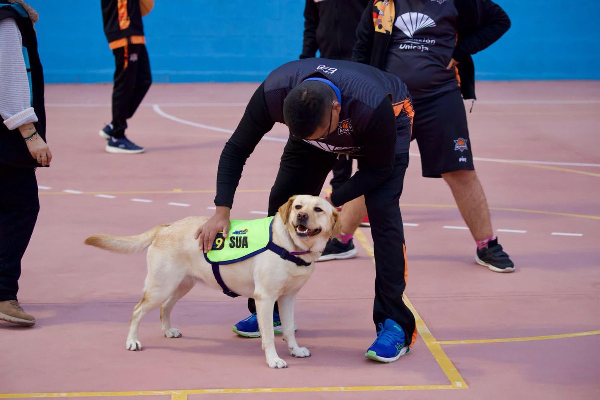 k9malaga's tweet photo. La semana pasada iniciamos los entrenamientos con los equipos #Superbasket de @675Academia con el Área Social de #K9Malaga.

¡Un proyecto de lo más ilusionante!

🔴⚫️🟡 #K9Malaga #Baloncesto https://t.co/DBe5m0bvp9