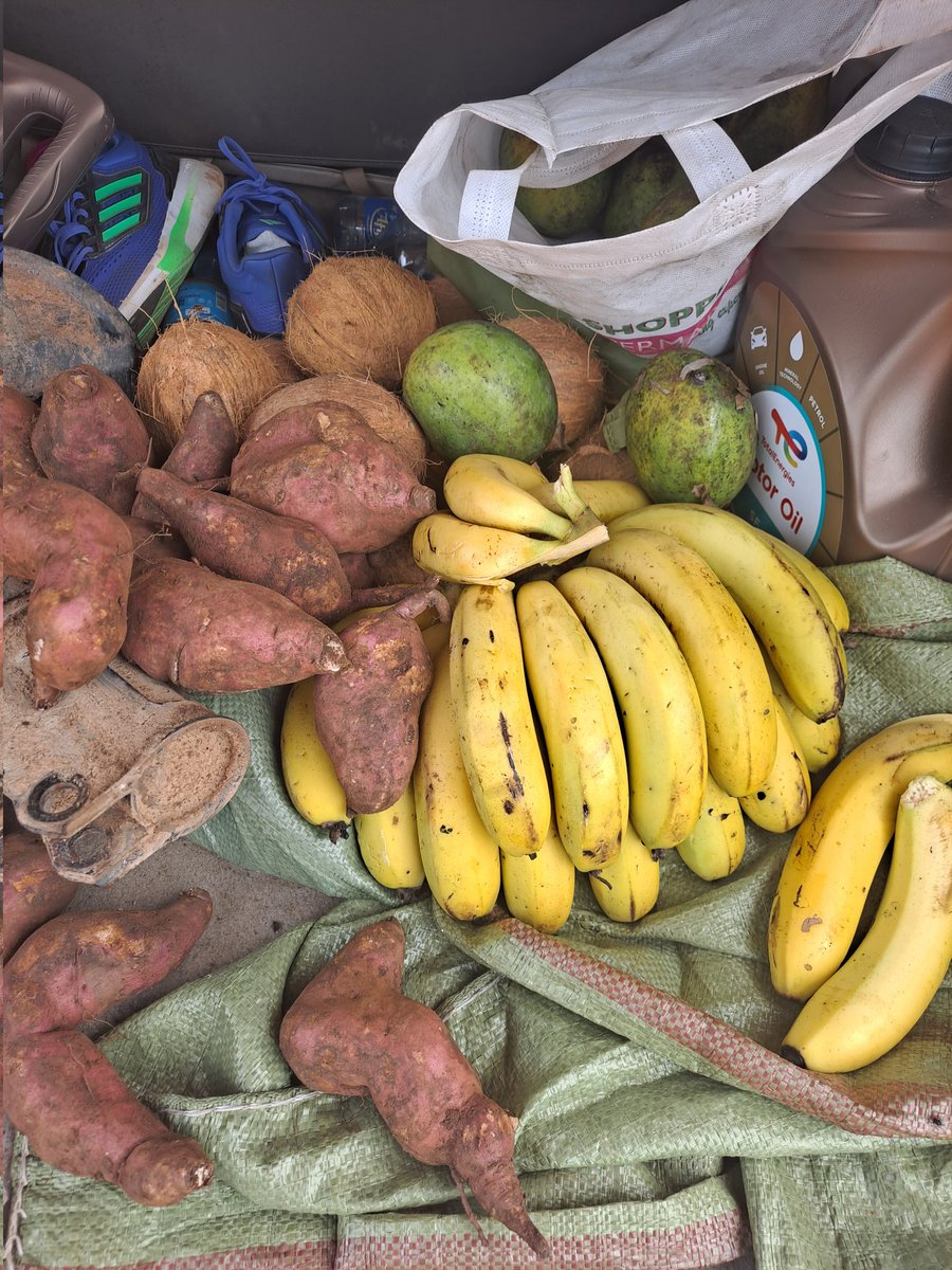 bajabiri's tweet photo. Fresh from SHAMBA.

#VisitMorogoro https://t.co/htHLSgv5jM