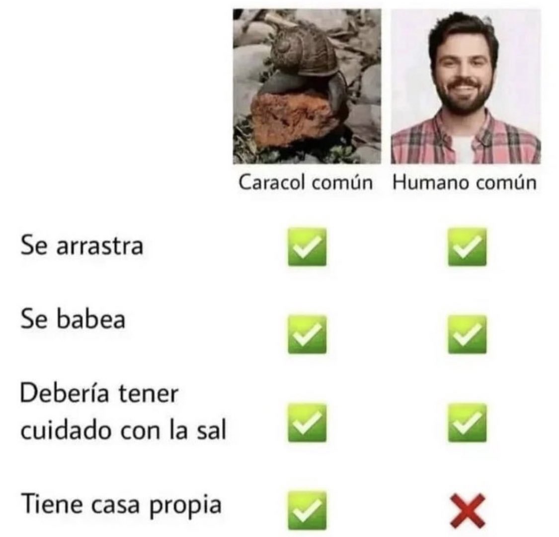 los caracoles son tecnicamente mejores k los humanos