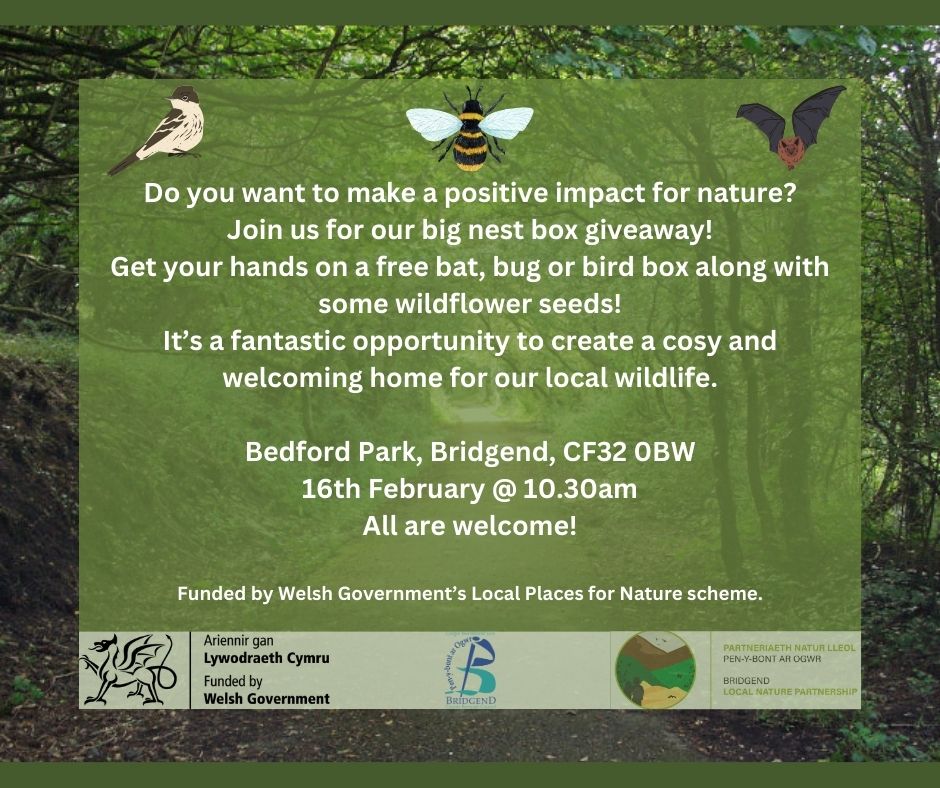 BridgendCBC's tweet photo. Do you want to make a positive impact for nature?
This #NestBoxWeek you can pick up a free bat, bug or bird box along with some wildflower seeds:
📌 Bedford Park
🗓️ 16 February, 10.30am
Funded by @WelshGovernment’s Local Places for Nature scheme. https://t.co/jl9AigVqMl