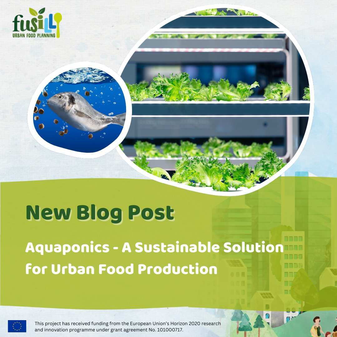 Aquaculture 🐟 + Hydroponics 🥬= Aquaponics - a self sustaining hobby or sustainable form of indoor farming ?

Find out what you would need for your own aquaponic system in our latest blog from Karoliina Tuukkanen👉 fusilli-project.eu/news/blog-aqua…
 
#indoorfarming #urbanfarming #zerokm