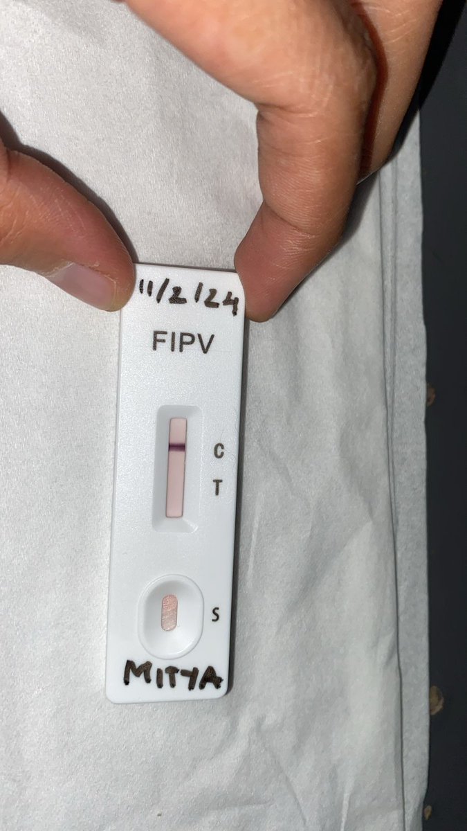 elmo_ngapain's tweet photo. gaes, hari minggu kemaren Mitya testkit FIP lagi, dan hasilnya masih negatif! 🥳
setelah ngobrol sama tim #BasmiFIP, Mitya dinyatakan lulus #PengobatanFIP 🥳
horee, udah ngga perlu minum obat gede2 lagi ya, Mitya!
makasih banget buat teman2 yang udah support #BasmiCare Mitya 🙏🏻 https://t.co/sV7ZU7MDi7