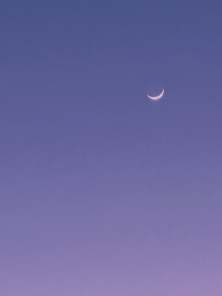 hiraidai's tweet photo. 🤔HONEY&amp;MOON or THE GIFT? https://t.co/vcHTXF4n10