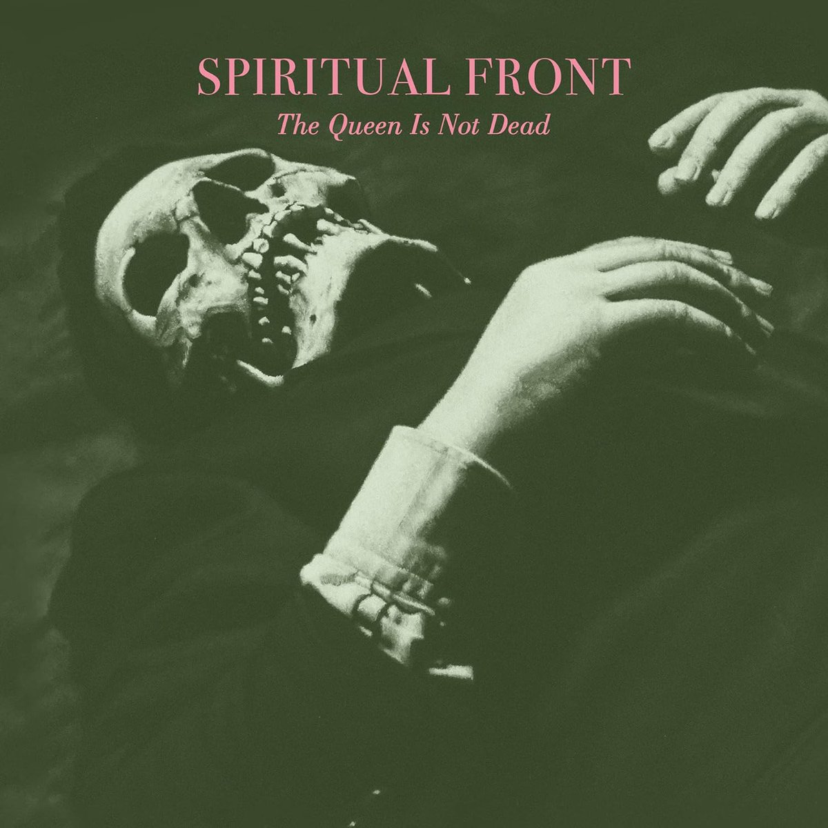kurooka_nobu3's tweet photo. 夕暮れ時のスピンタイム!Spiritual Front「The Queen Is Not Dead」密林で1枚だけ激安放出されてたので即救出!このジャケ見てわかったア・ナ・タはスミス好き(笑)そう!まさにそれ!カバーものです!LPとシングル盤「The Queen Is Not Dead」つき!スミス愛溢れておりますわ!
#SpiritualFront https://t.co/0eZ6oWvSdz