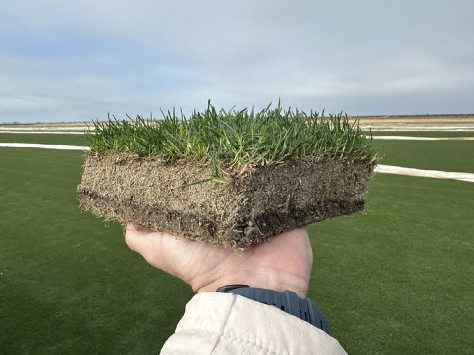 Joe Pompliano tweet media