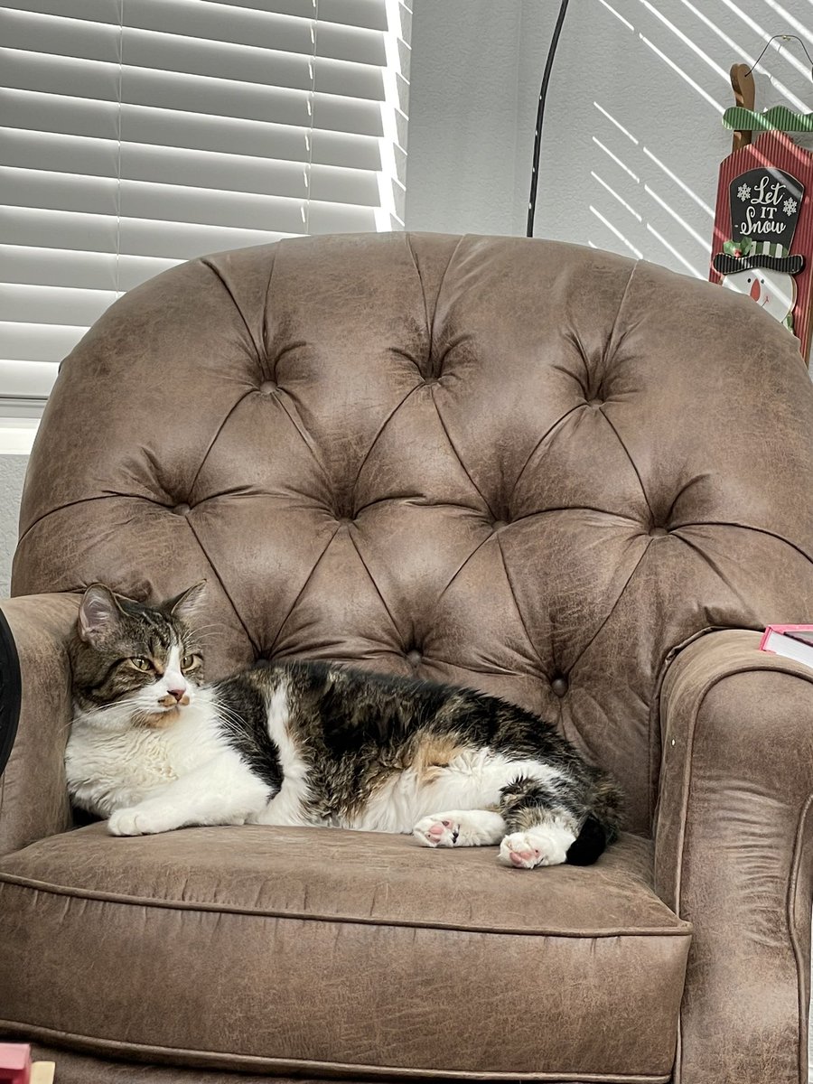 bootehlicious's tweet photo. So, many of you may remember our cat Spot (or Chubs as he was lovingly referred to) from my stream. He’s been suffering from diabetes over the last year, and this weekend he had a diabetic seizure and unfortunately has passed on. He was very loved and always will be. https://t.co/IbGaoaRkrm