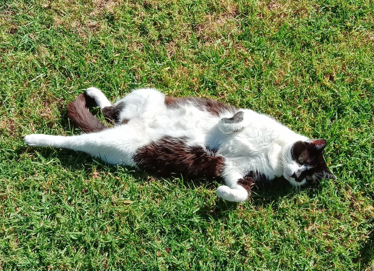 Elephant_ITR's tweet photo. Draw me like one of your french girls https://t.co/oeKlZEVtKw