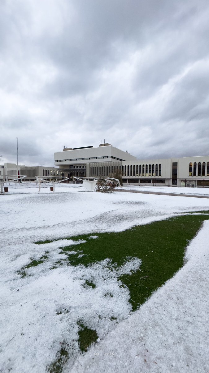 Sajwani's tweet photo. Not Moscow … but Al Ain 🇦🇪😍❄️

12-02-2024

📸 by @_vwvw https://t.co/QHUbwMN9gm