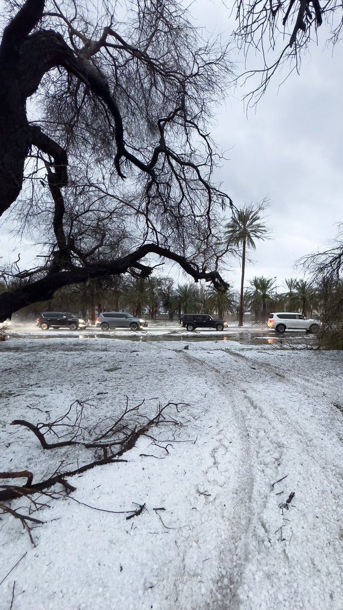Sajwani's tweet photo. Not Moscow … but Al Ain 🇦🇪😍❄️

12-02-2024

📸 by @_vwvw https://t.co/QHUbwMN9gm