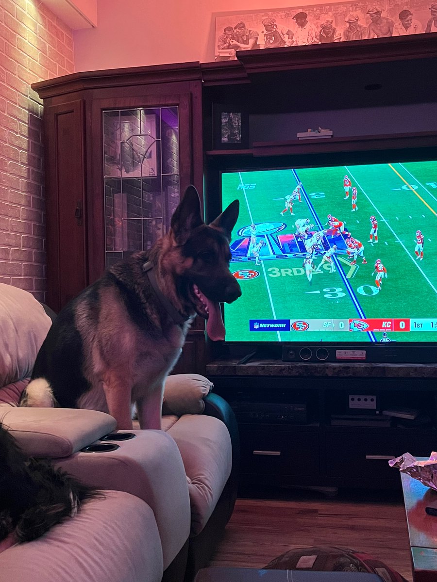 draguntea's tweet photo. Mingi watches the superbowl 🍗👀♥️ #gg #kc https://t.co/B5vHjb8EL3