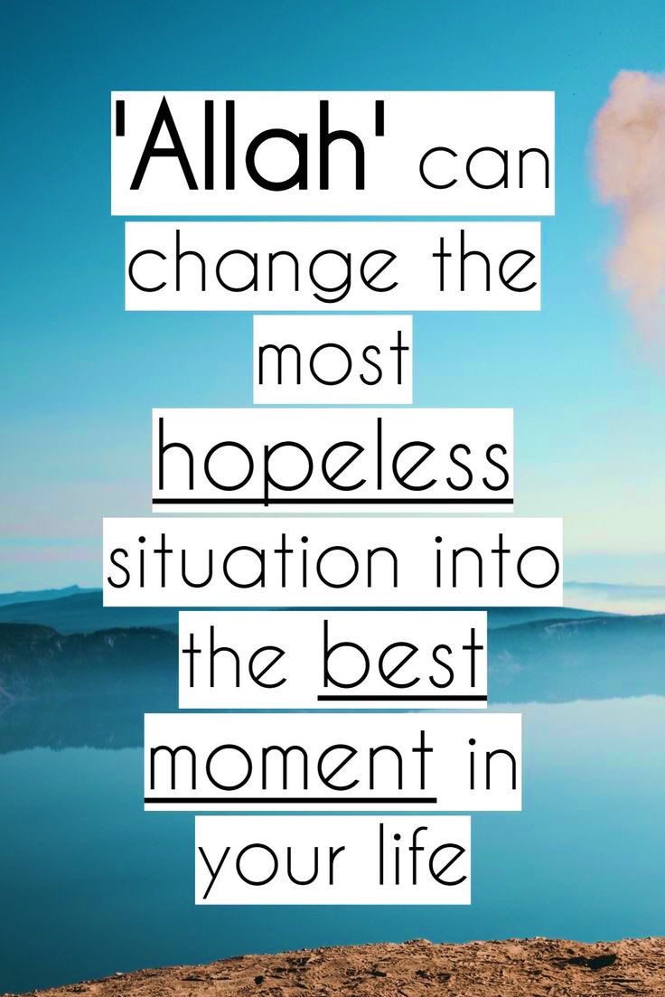 Have a nice day! 

And 

Good morning 🌺🍀🌺🍀

X