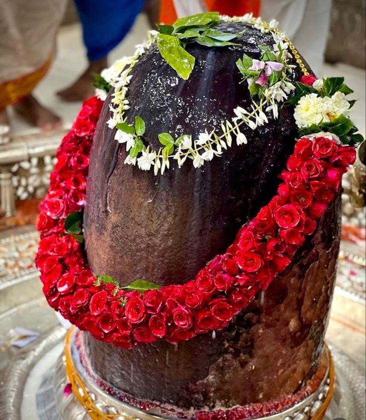 हर हर महादेव शुभ प्रभात ट्विटर परिवार 🙏🌹🙏