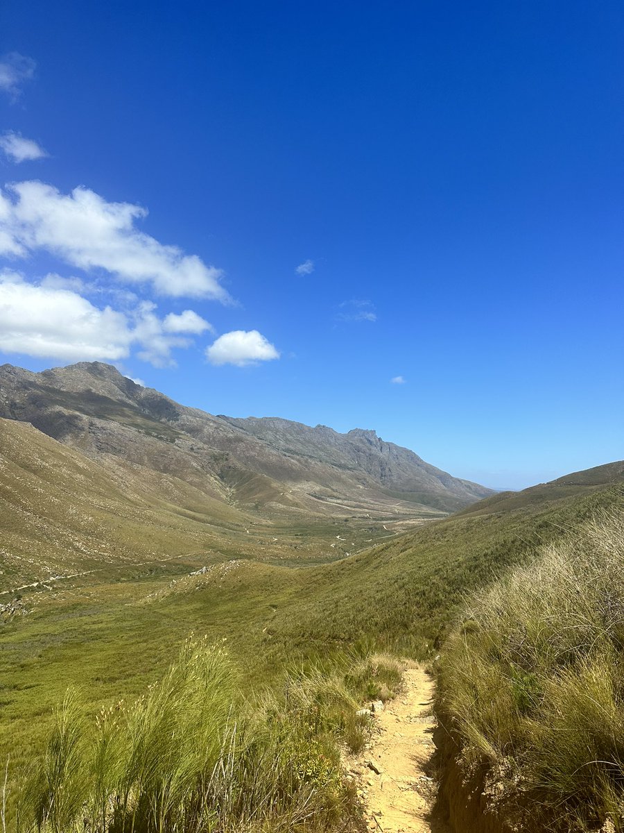 Back to my roots.✨ #stellies