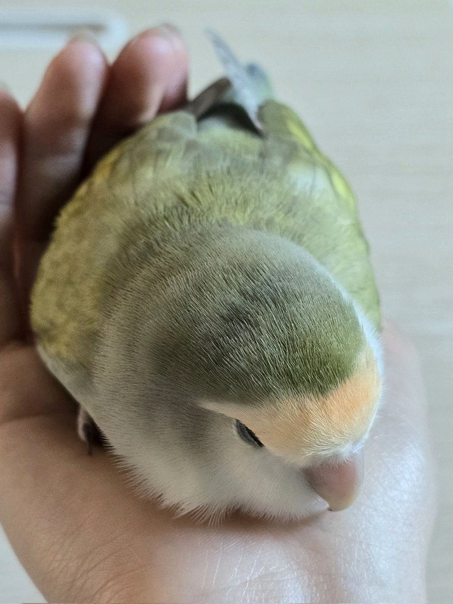 저기...
저...
밥먹어야 되는뎁쇼