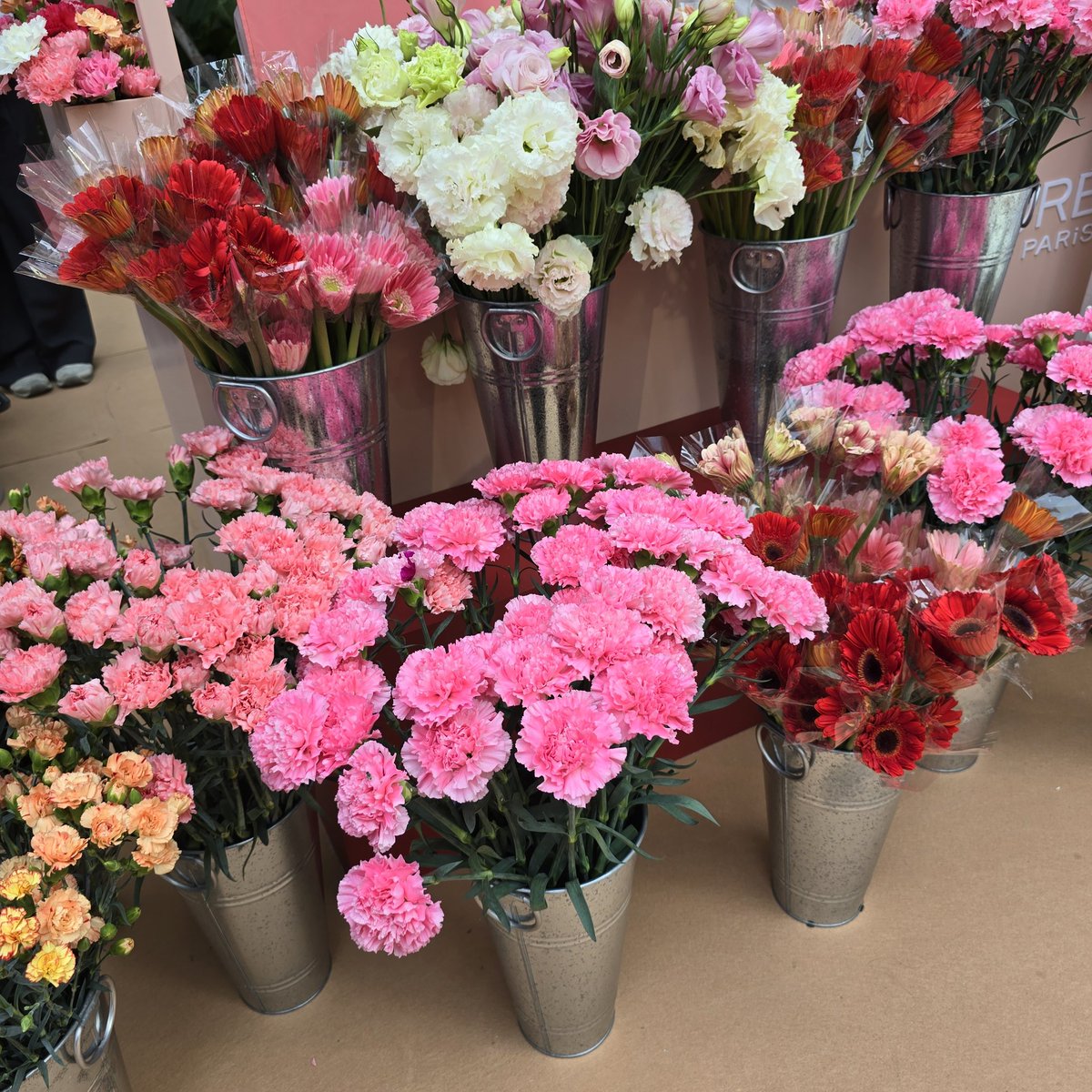 WatsonsThailand's tweet image. มครอยู่ที่ #ParkSilom วันนี้มาด่วนๆๆ #Loreal #Infallible จัดงานให้คุณได้ชอปพร้อทรับสิทธิพิเศษรับ #Valentine เลือกจัดดอกไม้ หรือดูดวงความรัก เมื่อชอปครบ 599.- ภายในงาน 

⚘️ พิเศษรับดอกไม้จาก #TayTawan 

#watsonsth 
#lorealMakeup
#infallibleonthego
#taytawan