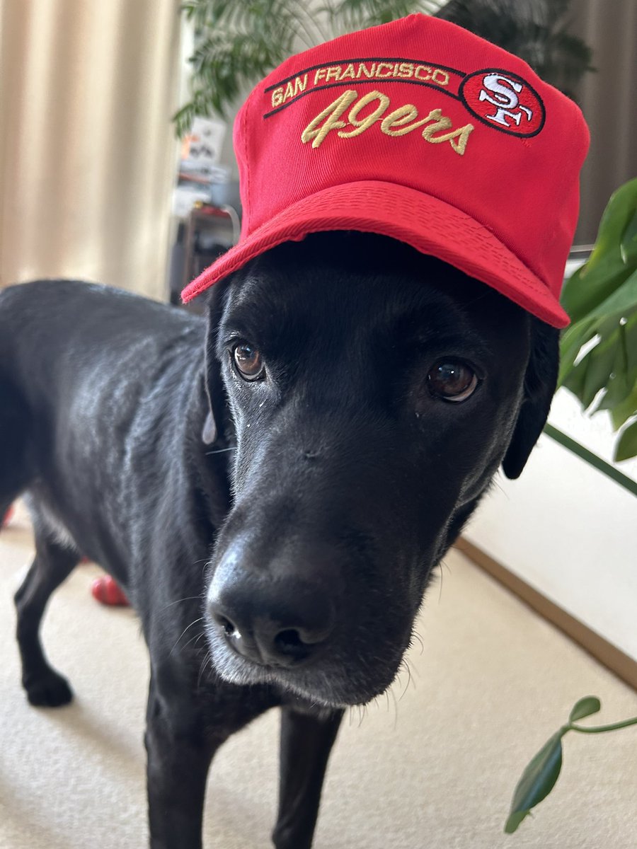nemo0923's tweet photo. チーフス強すぎる。。　
49ers残念😢 https://t.co/KCqPGXVWx0