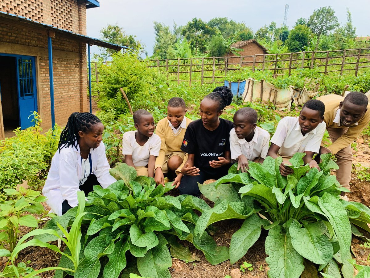 In the quest to nourish young minds and bodies, CorpsAfrica Volunteers facilitated Groupe Schoraire Gisunzu to make a kitchen garden which aids school feeding program that stand as beacons of hope, ensuring that no child goes hungry while pursuing education.Join us in the journey