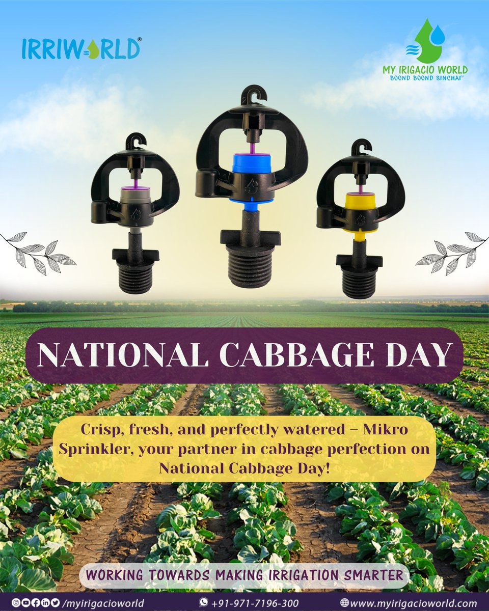 myirigacioworld's tweet photo. "Celebrating National Cabbage Day with a crunchy, green delight! 🥬
#CabbageDay #HealthyEats #irrigation #irriworld #irigacio #landscaping #horticulture #dripirrigation #SmartIrrigation #yuzuak #raingun #rainguns https://t.co/plsYbPHlPX