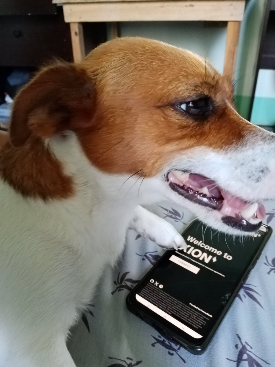 DonFreecsss's tweet photo. Even the Dog can do it!  @burnt
#XionEverywhere https://t.co/5CDRjGlMTn
