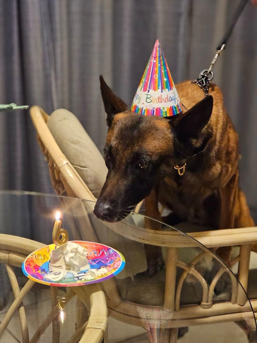 Florida Scanner tweet media