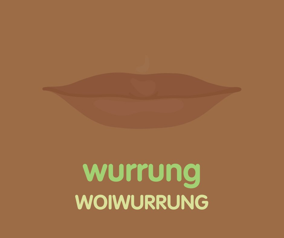 Here are four body parts in Woiwurrung 🦶🏼 For more body parts and to listen visit 50words.online/languages/Woiw… #50Words #IndigenousLanguage