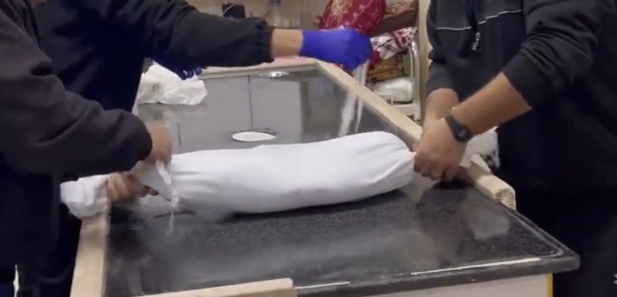 Tonight I saw a Palestinian baby, born during Israel’s war on Gaza, wrapped in the smallest burial shroud. I saw a child’s legs torn to shreds. Then I saw the U.S. president tweet a joke, after green lighting, arming, and funding these horrors. We live in a dystopian nightmare.