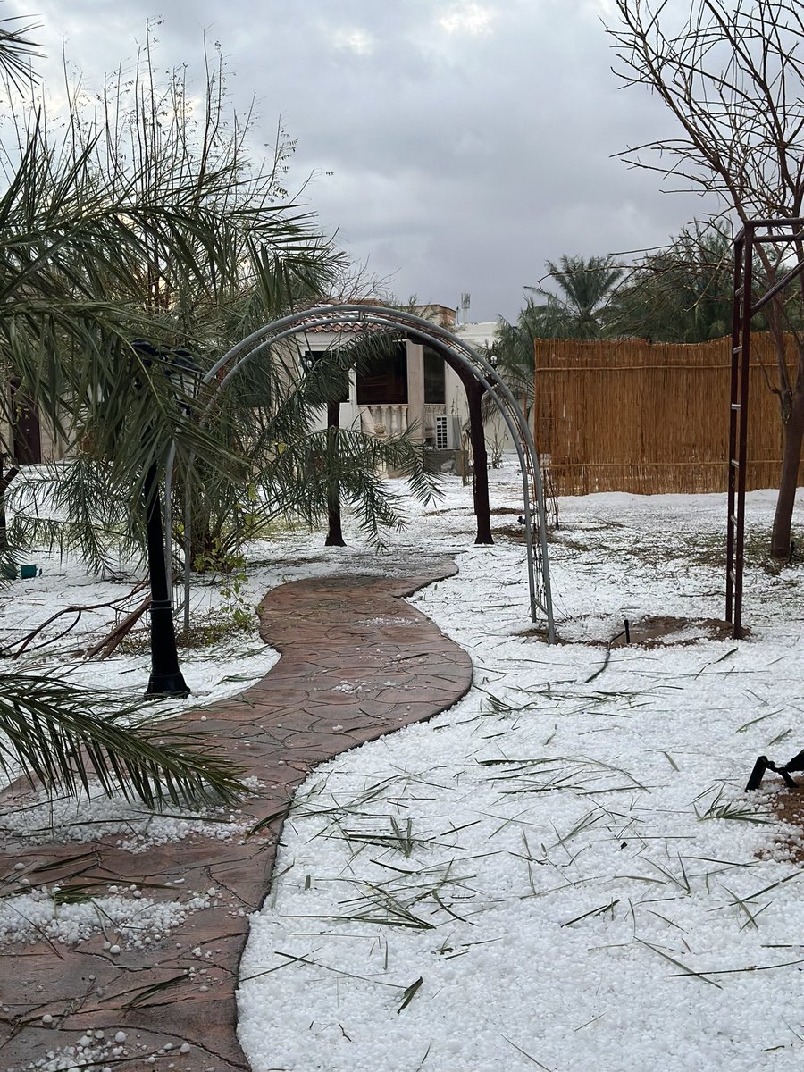 sjrafee's tweet photo. #العين_فلج_هزاع ❄️📸 #منخفض_المزر https://t.co/0V77LGZbMC