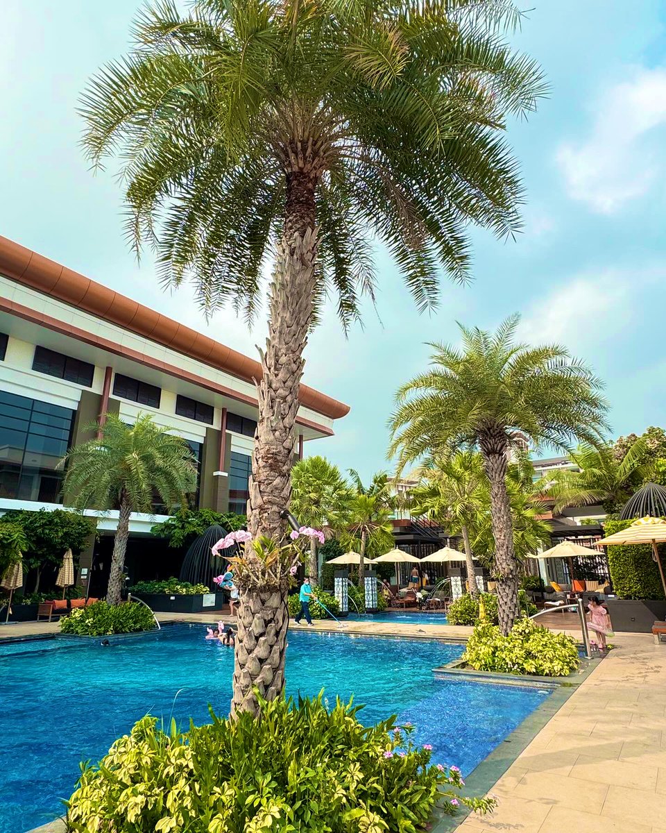 donysoda's tweet photo. ⛱️舒服了 https://t.co/JqgNCPDkoZ