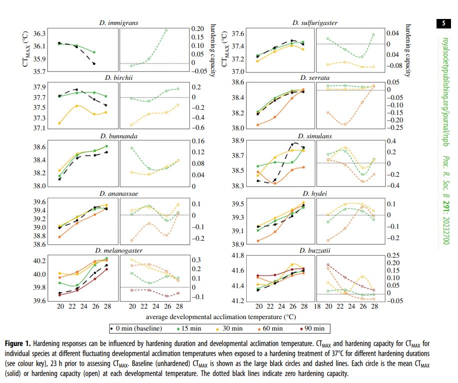 Can phenotypic plasticity reduce the impact of climate change in the short-term providing time for adaptation? Or, do organisms with higher tolerance have lower plasticity? @bvanheerwaarden @vkellermann1 and Carla Sgro investigated trade-offs royalsocietypublishing.org/doi/pdf/10.109…