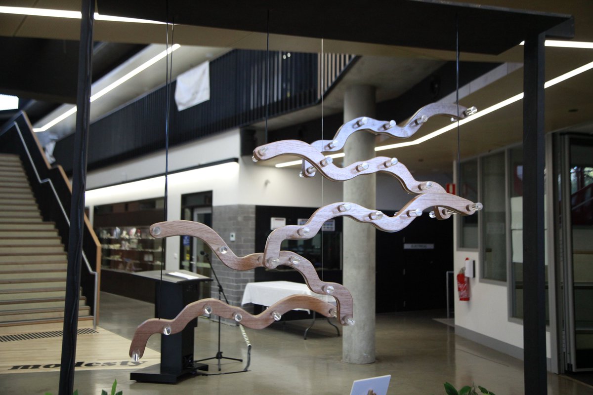 Marcellin's tweet photo. Congratulations Luca, on being selected for Top Designs 2024. See Luca's work and others 23 March - 14 July at the Melbourne Museum. Entry is free! https://t.co/manRLWPF18