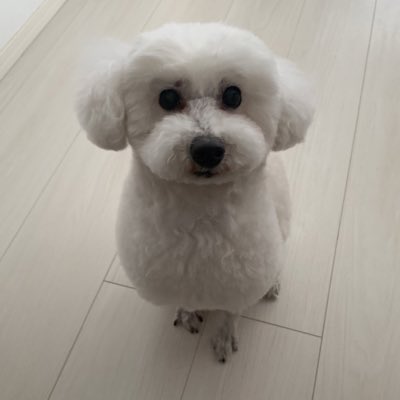 hochan314's tweet photo. #新しいプロフィール画像 https://t.co/6k7toqIEll