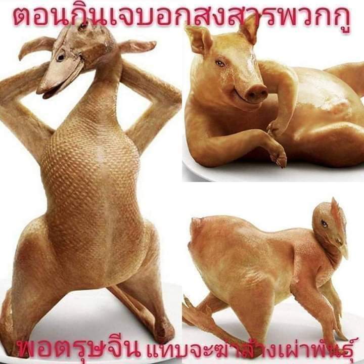 แปลกแต่จริง
