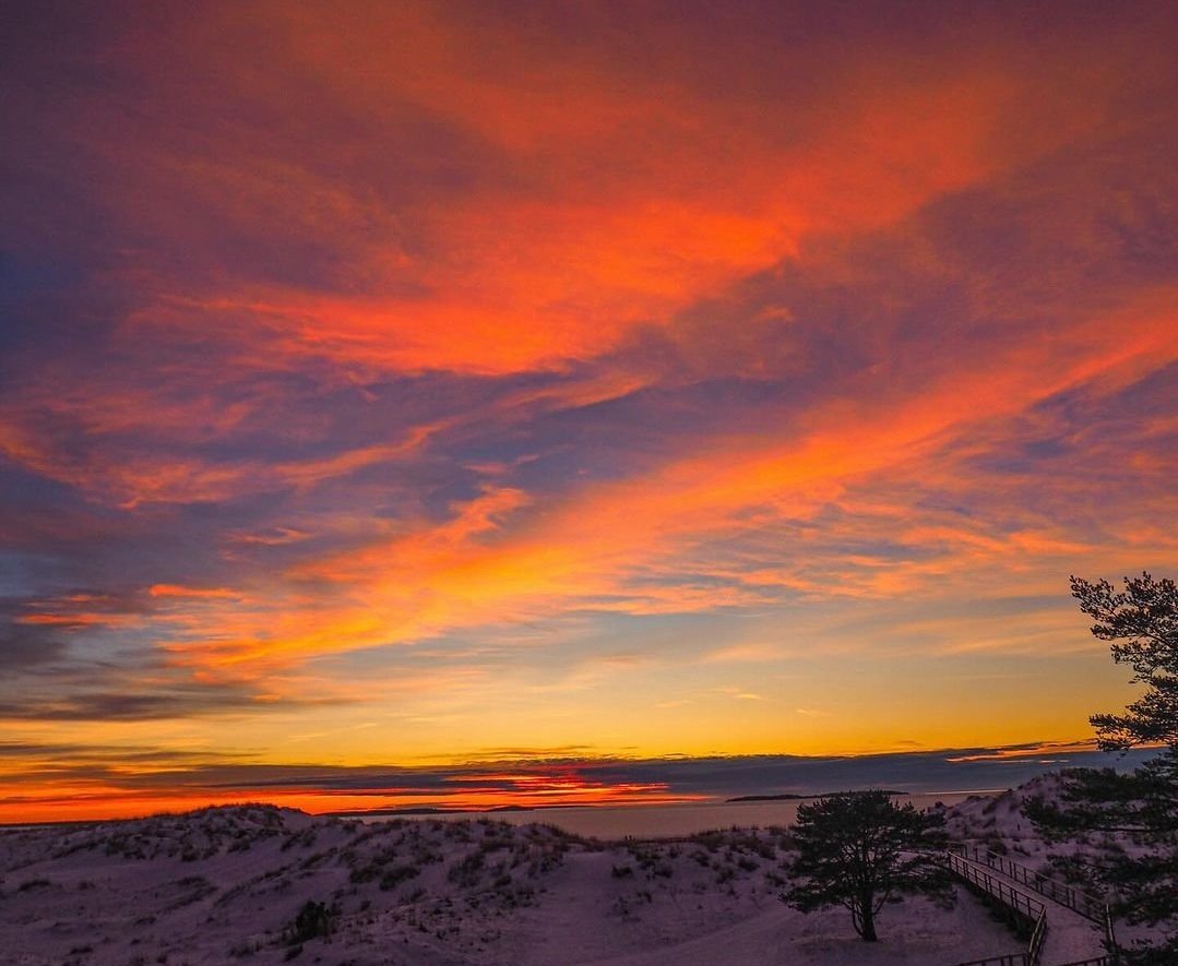 Alex M_T_V tweet media